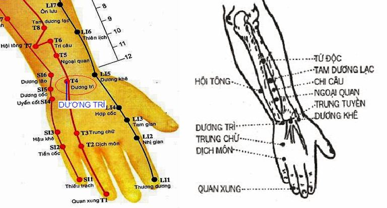 Hình ảnh vị trí huyệt Dương Trì trên tay phải