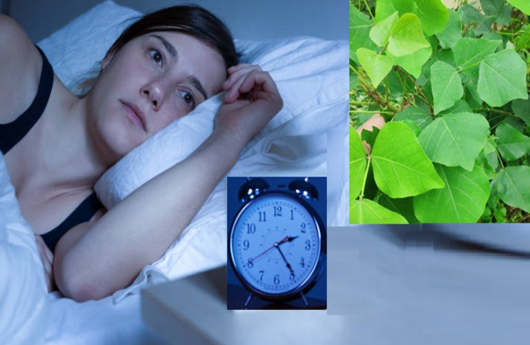 Dùng lá vông để chữa mất ngủ kinh niên an toàn