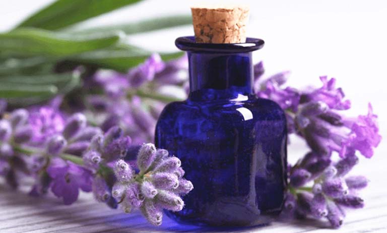 Thành phần tinh dầu trong hoa lavender có công dụng hiệu quả giúp người bệnh thư giãn