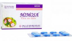 Thuốc Mimosa có tác dụng gì? Cách dùng? Giá bao nhiêu? Lưu ý cho người bệnh