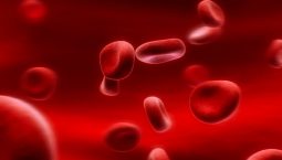 Thiếu máu nhược sắc là gì? Tìm hiểu nguyên nhân và cách điều trị bệnh phổ biến