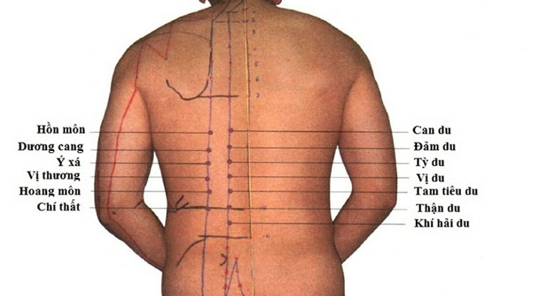 Khi xoa bóp bấm huyệt chữa đau lưng, trước tiên cần xác định chính xác vị trí các huyệt đạo