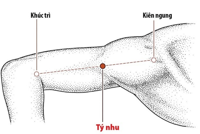  Huyệt Tý Nhu nằm ở vùng thịt mềm của cánh tay. 