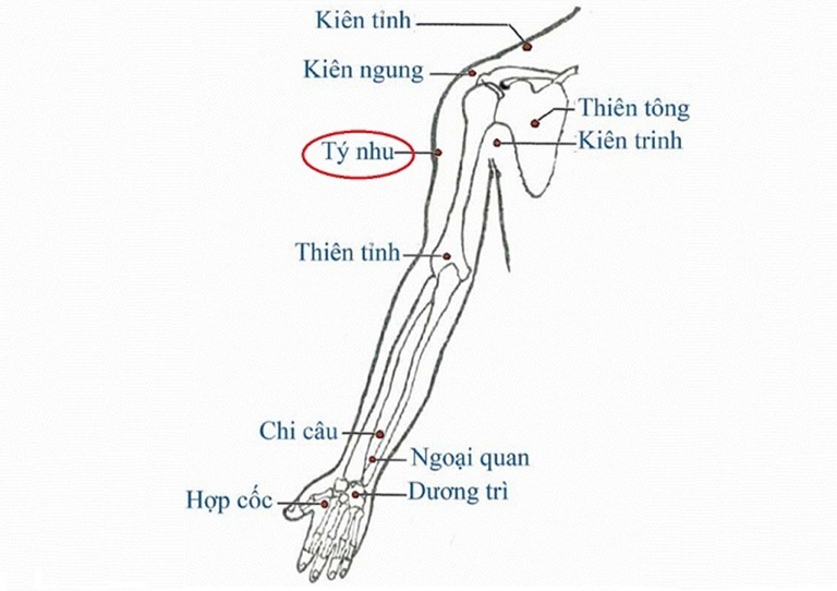 Huyệt Đầu Xung giúp trị đau vai, đau cánh tay, liệt chi trên