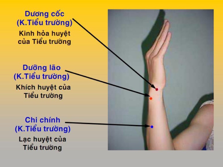 Vị trí huyệt dương cốc - Huyệt đạo có ảnh hưởng quan trọng tới khớp ngón tay