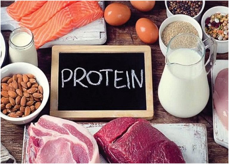 Thêm protein vào chế độ ăn giúp giảm cân và giảm mỡ tốt hơn