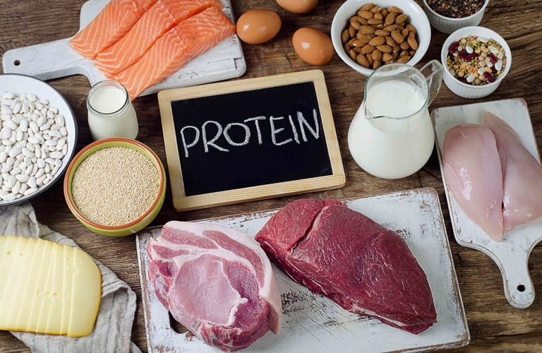 Các thực phẩm chứa nhiều protein tăng cảm giác no lâu và giảm cơn đói
