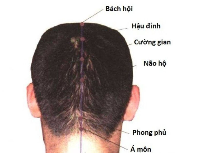 Huyệt Á Môn nằm ở điểm chính giữa của cổ và chân tóc