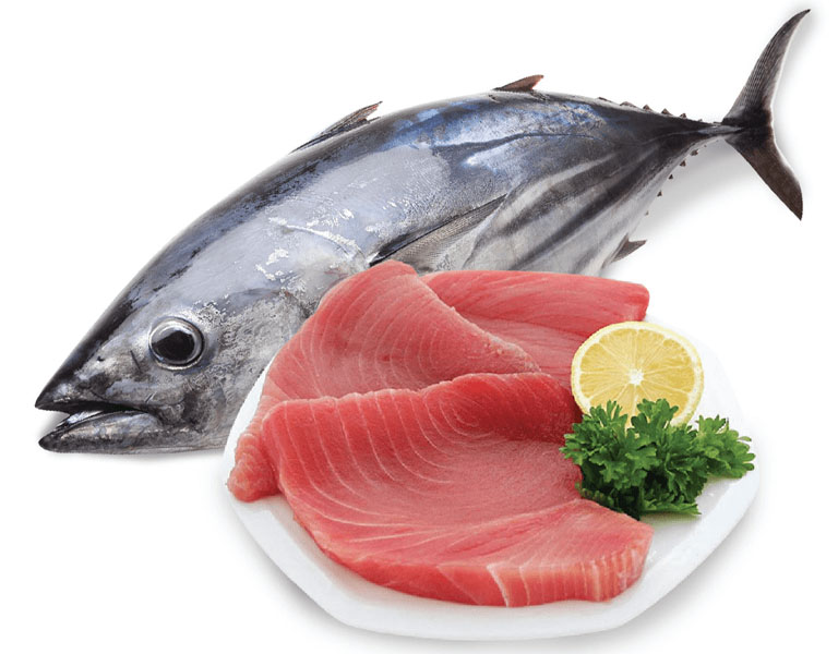 Cá tươi chứa omega 3 sẽ thúc đẩy quá trình đốt cháy mỡ thừa