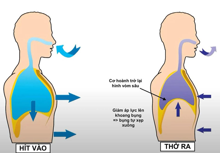 Hít thở cơ hoành thúc đẩy quá trình trao đổi chất, đốt cháy mỡ thừa ở phần bụng